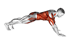 Front Plank Walkout exercise demonstration for Plyometrics, Body weight