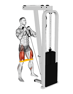 Resistance Band Cable Squat exercise demonstration for Thighs, Cable