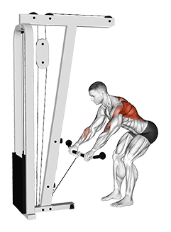 Cable Bent Over Row exercise demonstration