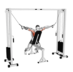 Cable Fly with Chest Supported exercise demonstration