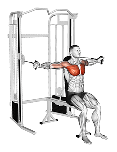 Cable Seated Chest Fly exercise demonstration