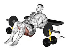 Barbell Hip Thrust with Resistance Band exercise demonstration for Hips, Barbell