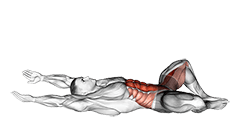 Frog Sit-up exercise demonstration for Waist, Body weight