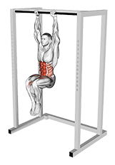 Hanging Knees to Elbows exercise demonstration