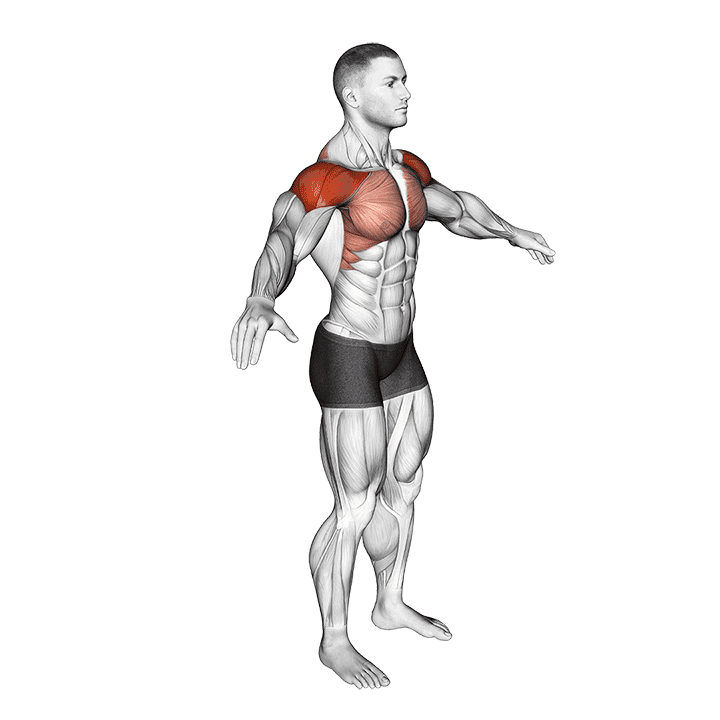Arm Circles exercise demonstration