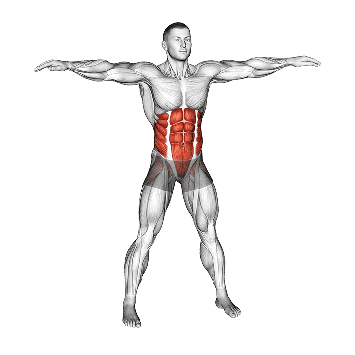 Bodyweight Windmill exercise demonstration for Waist, Body weight