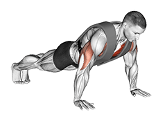 Weighted Push-up with Vest exercise demonstration for Chest, Weighted