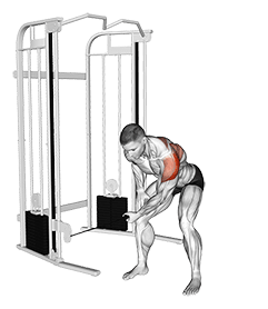 Cable Bent-Over One Arm Lateral Raise exercise demonstration