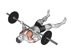 Barbell Reverse-Grip Floor Press exercise demonstration