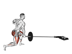 Landmine Rear Lunge exercise demonstration for Quadriceps, and Thighs, Leverage machine