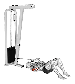 Cable Triceps Pushdown on Floor exercise demonstration for Triceps, and Upper Arms, Cable