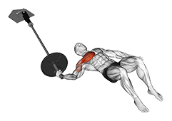 Landmine Floor One Arm Chest Fly exercise demonstration for Chest, Leverage machine