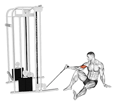 Cable Seated Floor One Arm Concentration Curl exercise demonstration for Biceps, and Upper Arms, Cable