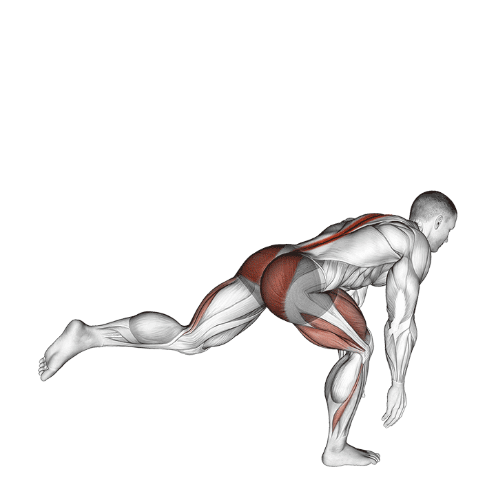 Bodyweight Single Leg Deadlift exercise demonstration for Thighs, Body weight