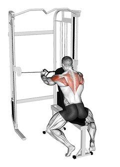 Cable Seated Rear Delt Fly with Chest Support exercise demonstration for Shoulders, Cable
