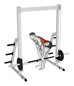 Smith Single Arm Bent-Over Row exercise demonstration