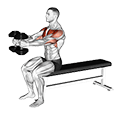 Dumbbell Seated Upright Alternate Squeeze Press exercise demonstration