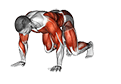 Side Bear Crawl exercise demonstration for Plyometrics, Body weight
