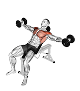 Dumbbell Incline Around the World exercise demonstration