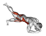 Leg Lift to Chest Front Plank exercise demonstration for Plyometrics, Body weight