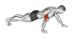 Push-up Hand by Hand exercise demonstration