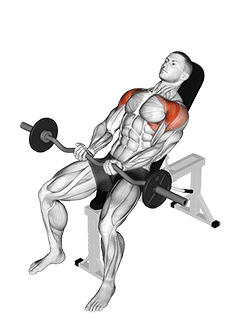 EZ-bar Incline Front Raise exercise demonstration for Shoulders, EZ Barbell