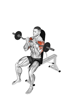 EZ-bar Seated Close grip Shoulder Press exercise demonstration for Shoulders, EZ Barbell