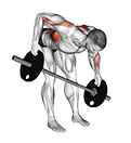Barbell Bent Over Wide Alternate Row Plus exercise demonstration