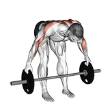 Barbell Bent Over Wide Row Plus exercise demonstration