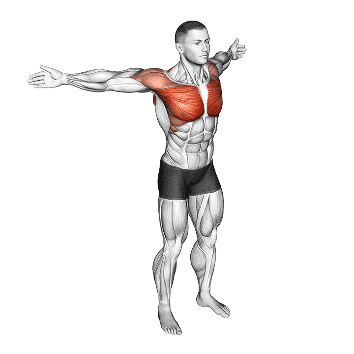 Back Slaps Wrap Arround Stretch exercise demonstration for Back, Body weight
