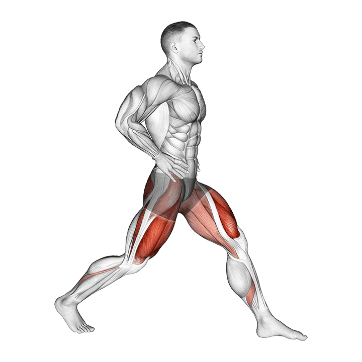 Static Lunge exercise demonstration for Thighs, Body weight