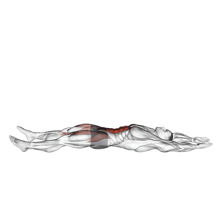 Straight Leg Sit-up exercise demonstration for Waist, Body weight
