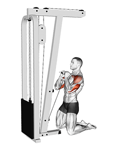 Cable Kneeling Shoulder Press exercise demonstration for Shoulders, Cable