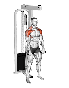 Cable Standing Front Raise Variation exercise demonstration