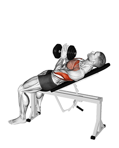 Dumbbell Incline Close-grip Press Variation exercise demonstration for Triceps, and Upper Arms, Dumbbell