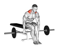 Barbell Seated Shrug exercise demonstration for Back, Barbell