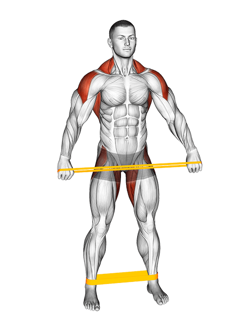 Resistance Band Standing Down Warming-up exercise demonstration for Back, and Hips, Resistance Band