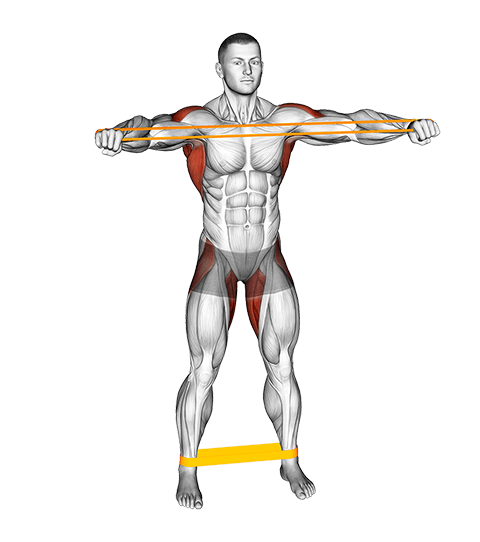Resistance Band Standing Front Warming-up exercise demonstration for Back, and Hips, Resistance Band