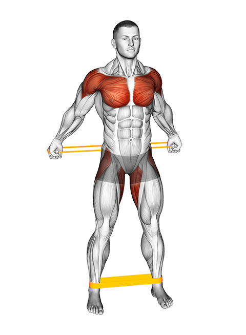 Resistance Band Standing Back Warming-up exercise demonstration for Chest, and Hips, Resistance Band