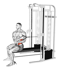 Cable Seated Cross Arm Twist exercise demonstration for Waist, Cable