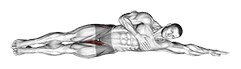 Side Lying Leg Raise exercise demonstration for Hips, Body weight
