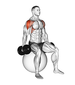 Dumbbell Seated Lateral Raise on Stability Ball exercise demonstration for Shoulders, Dumbbell