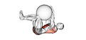 Dead Bug with Stability Ball exercise demonstration