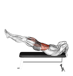 Leg Raise Dragon Flag exercise demonstration for Waist, Body weight