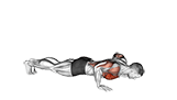 Bird Dog Push-Up exercise demonstration