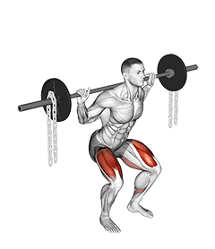 Barbell Squat with Chains exercise demonstration