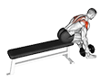 Dumbbell Seated Bent Over Alternate Rear Delt Fly exercise demonstration for Shoulders, Dumbbell