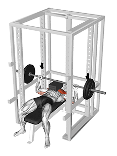 Barbell Bench Press with 3 board exercise demonstration for Chest, Barbell