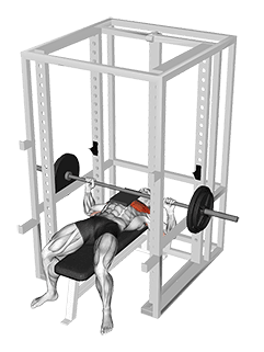 Barbell Bench Press with 1 board exercise demonstration for Chest, Barbell