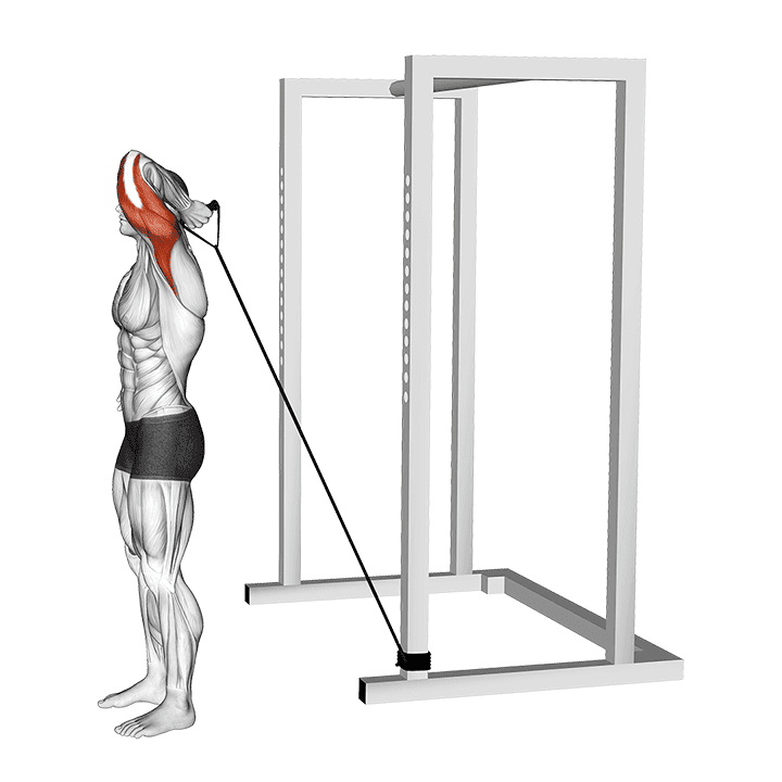 Band Overhead Single Arm Triceps Extension exercise demonstration for Triceps, and Upper Arms, Band